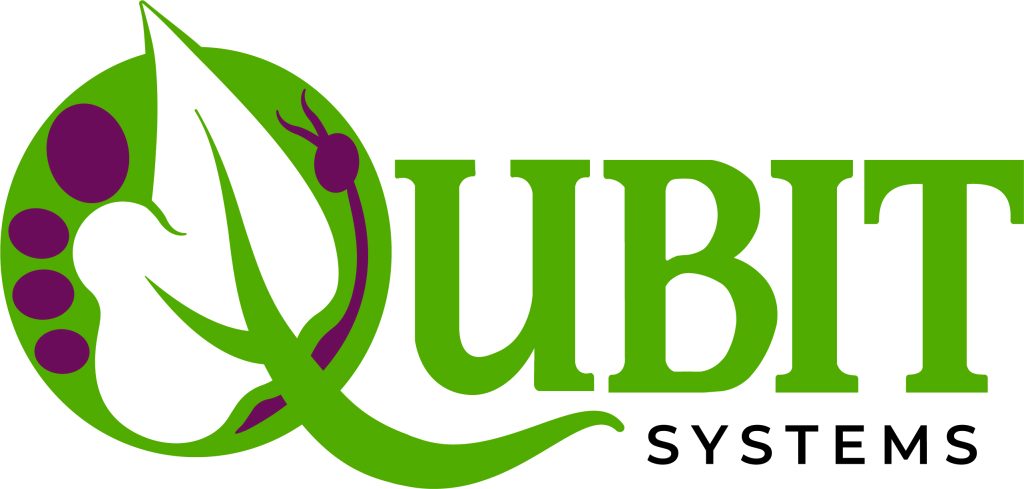 Qubit Systems Logo