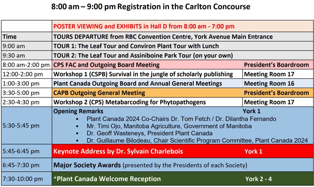 Sunday schedule