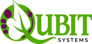 Qubit Systems